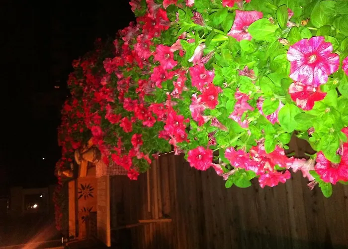 Edelweiss Apartamento